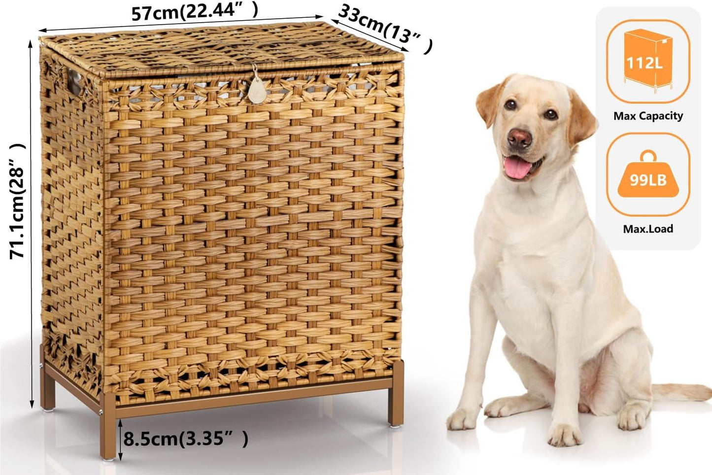 Laundry Hamper with 2 Removable Liner Bags