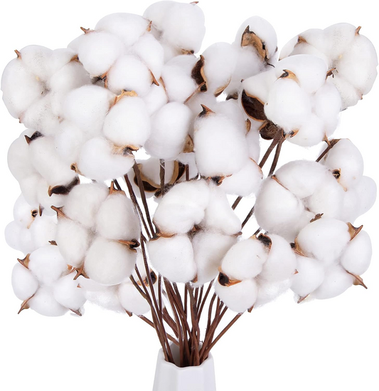 DomeStar 30PCS Natural Dried Cotton Stems, 15" Tall Cotton Sprigs for Vase Fillers DIY Crafts